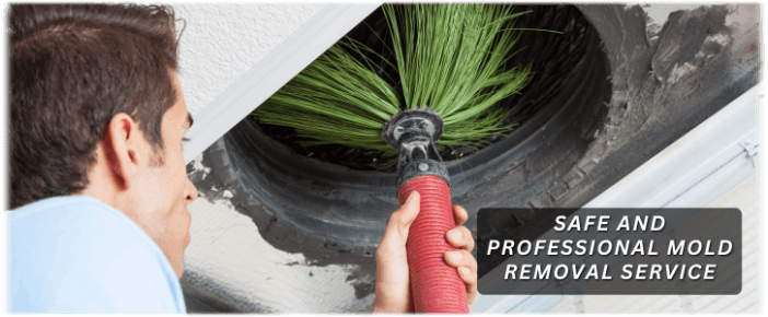 Air Duct Mold Removal in Upper Marlboro