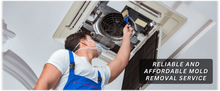 HVAC Mold Removal Upper Marlboro